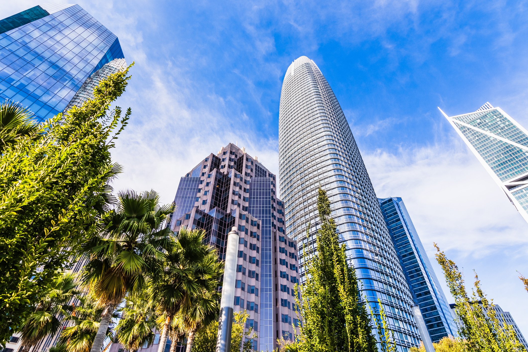 Looking up to the skyscrapers surrounding Salesforce Transit Center Park in South of Market District