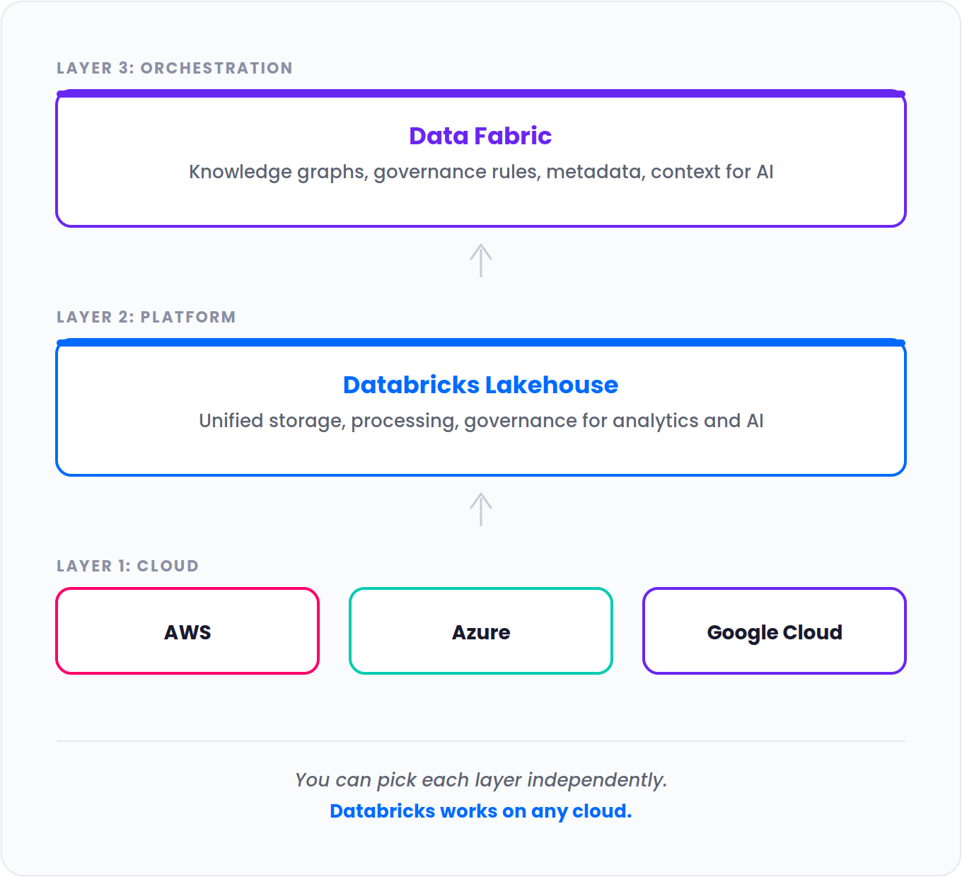 data layer in Databricks fabric