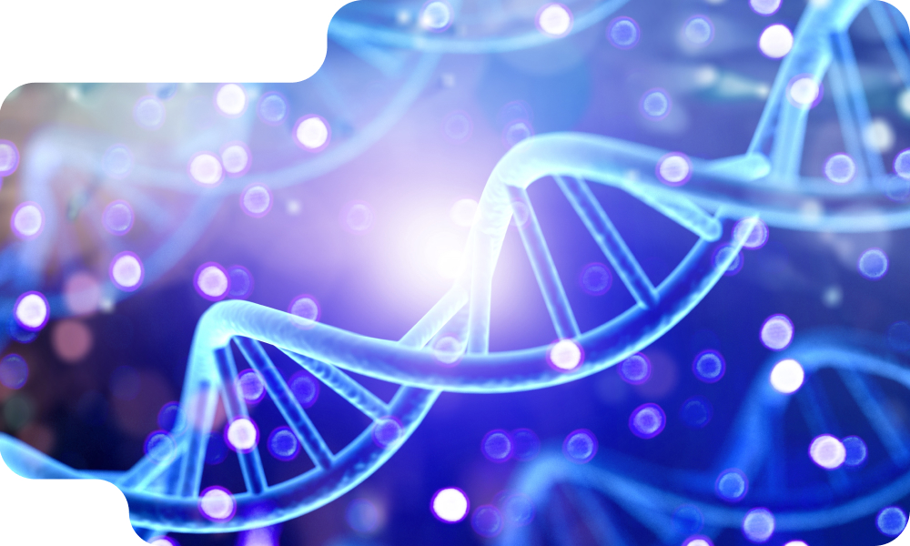What is Predictive Analytics in Healthcare?